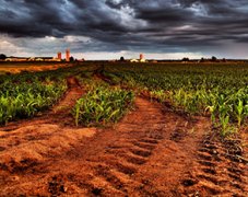 土壤養(yǎng)分分析儀對土壤有什么作用？